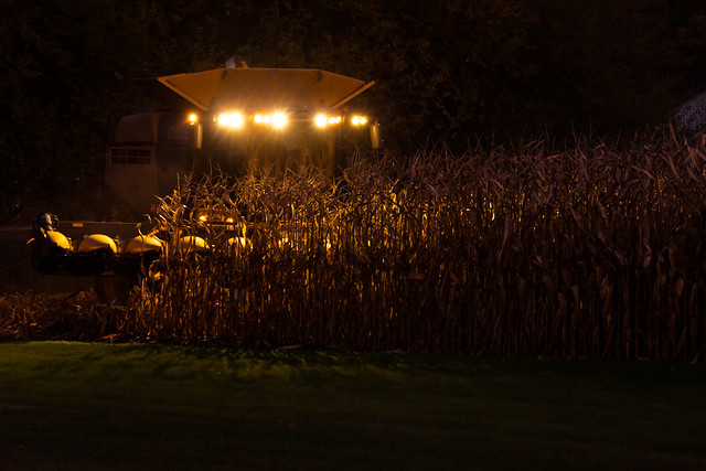 2020 Fall Corn Harvest