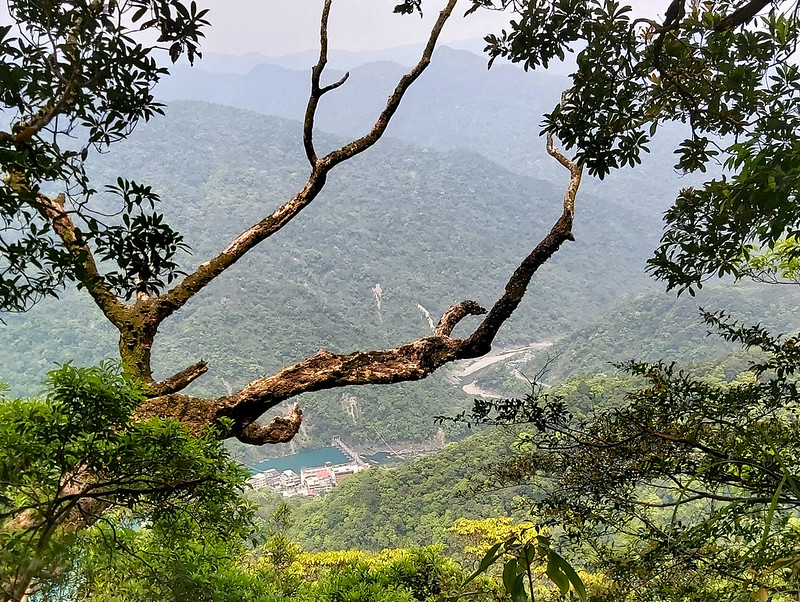 WuTong Trail