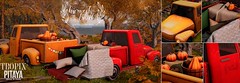 Pitaya&Tropix - Harvest truck Flick