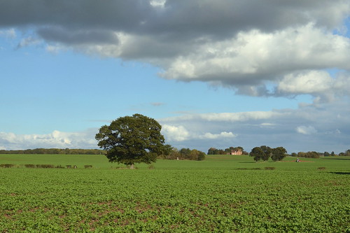 warwickshire farm farmland crops tractor trees clouds landscape sky