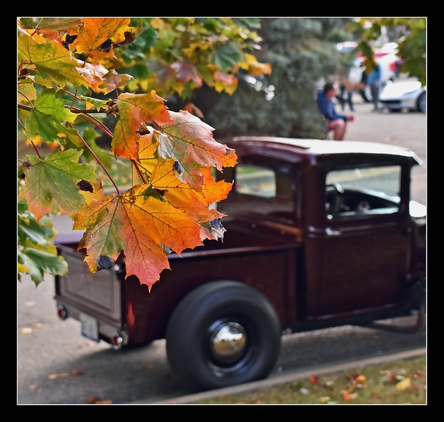 Hot Rod Pickup Beyond the Autumn Leaves