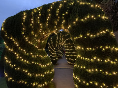 Photo 8 of 10 in the Garden Lights Walk: Whispering Souls gallery