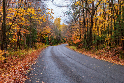nikond3000 nikon d3000 ontario on canada 2020 nature landscape katrine autumn automne fall forest forêt arbre tree route road foliage feuillage leaf feuille jaune yellow