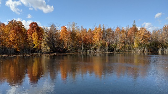 Fall foliage reflection with great colors