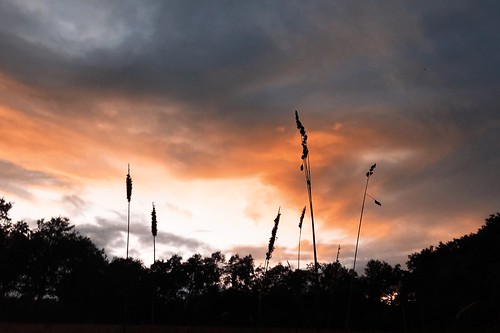 zonsondergang sonnenuntergang sunset wolken clouds rnifilms