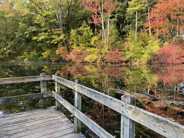 Michigan Autumn Splendor