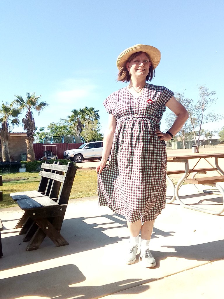 Frocktober 2020 - Frock Six | My first gingham dress, all re… | Flickr