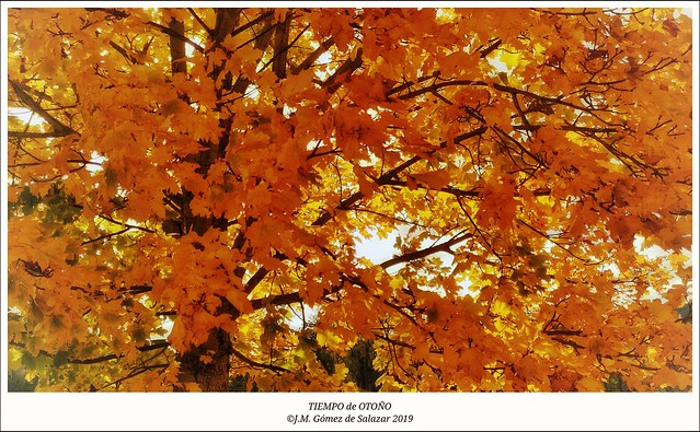 Tiempo de otoño / Autumn time