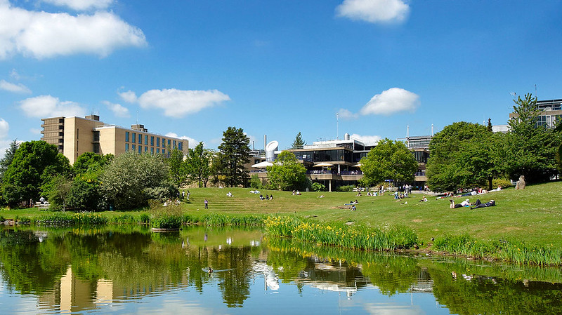 The lake on campus