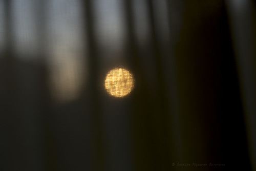 The setting sun, beyond the curtains