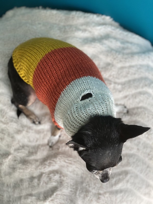 Candy corn sweater