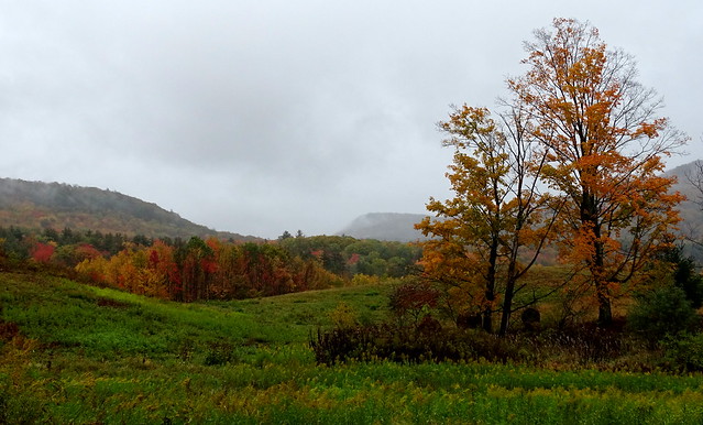 Fall Foliage In Middletown Springs Vermont