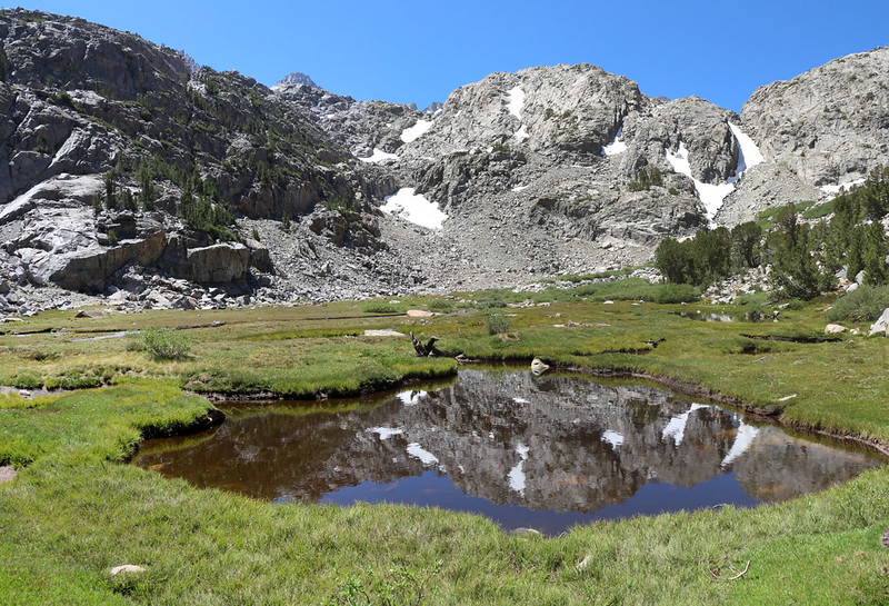 Reflections in a small pond of Sam Mack Meadow