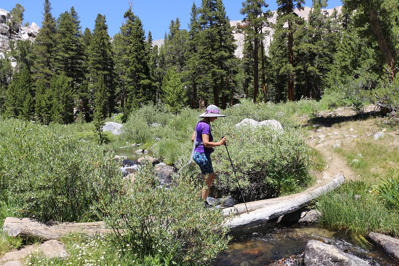 Crossing the log bridge over the North Fork of Big Pine Creek on the Sam Mack Meadow Trail