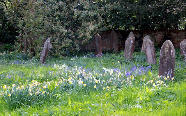 Spring Graveyard