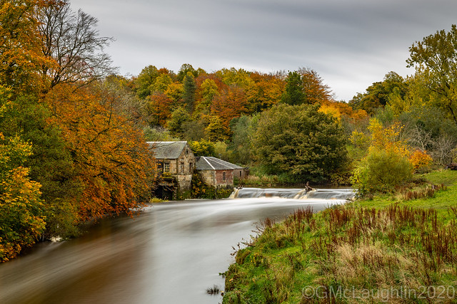 Autumnal watermill