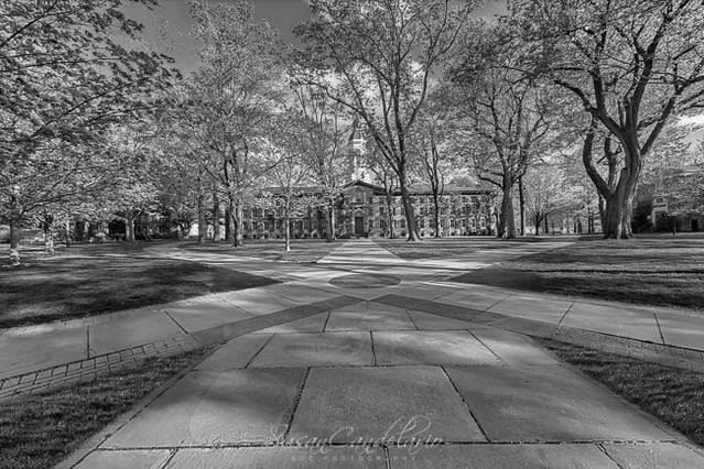 Nassau Hall Princeton University  II BWPrinceton University Nassau Hall  - The Old Nassau building in Princeton University in New Jersey. Nassau Hall is the oldest building in the campus. The main entrance is guarded by the Princeton Tiger statue pair wit