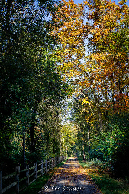 Autumn Colors Along the Trail