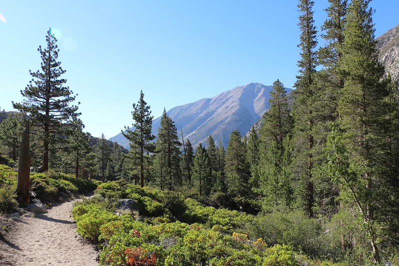 Kid Mountain appears as we round the corner and head down toward Second Falls on the NF Big Pine Creek Trail