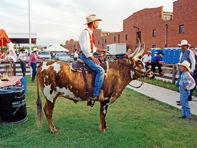 Man on Steer, Fort Worth Stockyards, 1993
