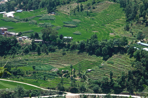 paddy sindhupalchokdistrict、melamchi nepal landscape