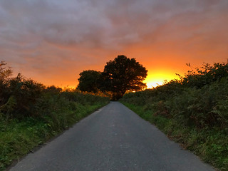 Sunset Down The Lane