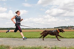 NÁVOD: Začněte běhat se psem. Základní pravidla a doporučení