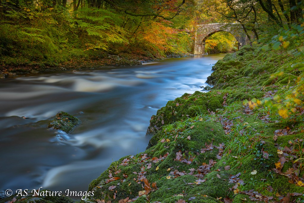 Autumn Flow- Holne Bridge,Dartmoor
