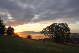Sunrise in the Bavarian Forest IMG_7004