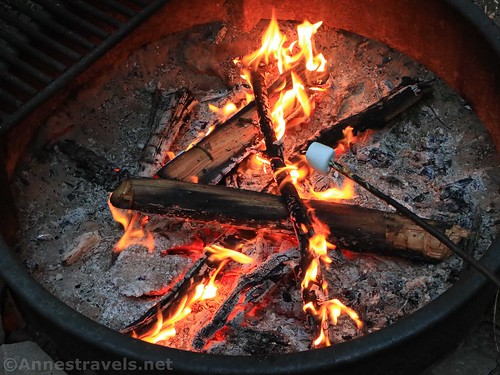 Roasting a marshmallow in the fire ring at the Naval Run Campsites, Tidaghton State Forest, Pennsylvania