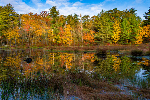 Fall Colors | by BobC45