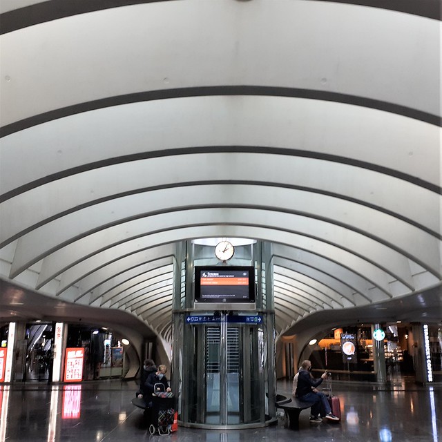 Railway station in Liège-Guillemins, Belgium, designed by Valencian architect Santiago Calatrava