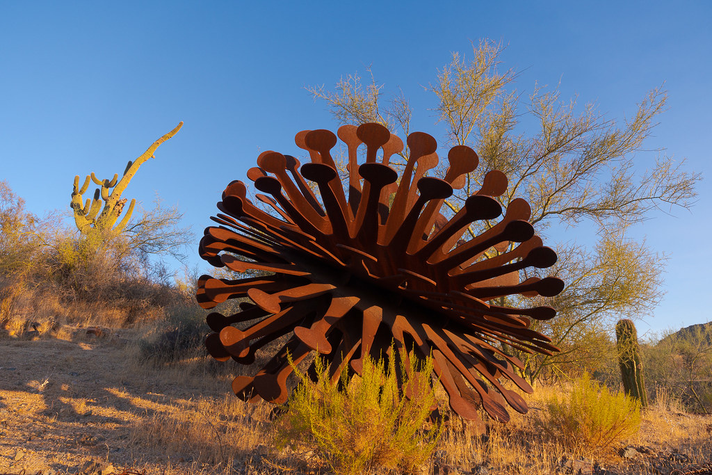 A large seed pod sculpture sits in front of a palo verde and a leaning saguaro at George Doc Cavalliere Park in Scottsdale, Arizona on October 16, 2020. Original: _CAM5533.arw