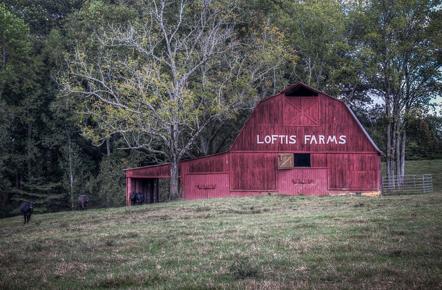 Loftis Farms