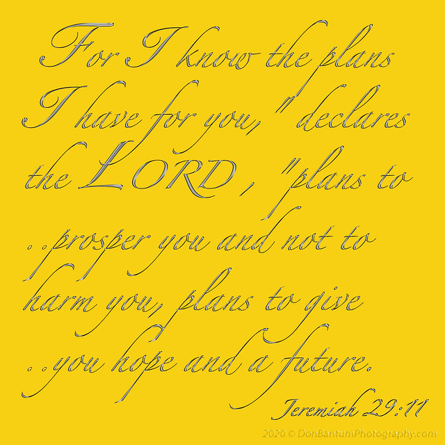 Jeremiah29-11