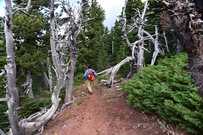 High Prairie Trail