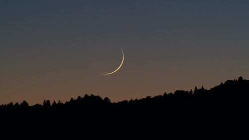 crescentmoon moon moons sky dusk evening horizon trees landscape lakesonoma sonomacounty california
