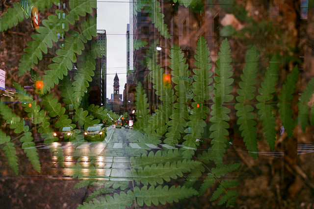 Double Exposure of Toronto and Providence
