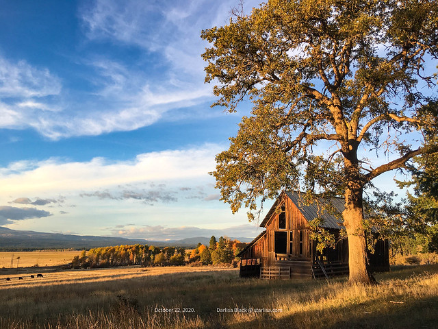 Old Barns and Golden Hour work well together