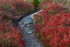The Bluff Wilderness Trail