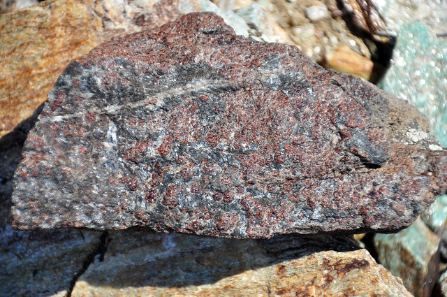Garnet amphibolite (Elmers Rock Greenstone Belt, Archean, >2.54 Ga; Laramie Range, Wyoming, USA) 2
