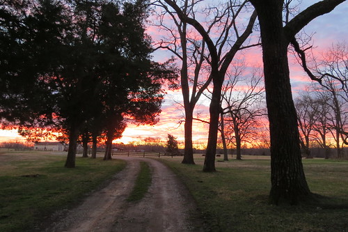 greensboro sunrise sunset outdoors clouds orange farm lane northcarolina canon winter