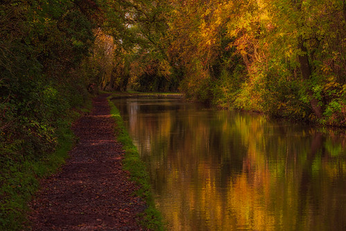 warwickshire woottonwawen canal autumn autumnal colours light landscape sony a7iii sigma100400mm jactoll