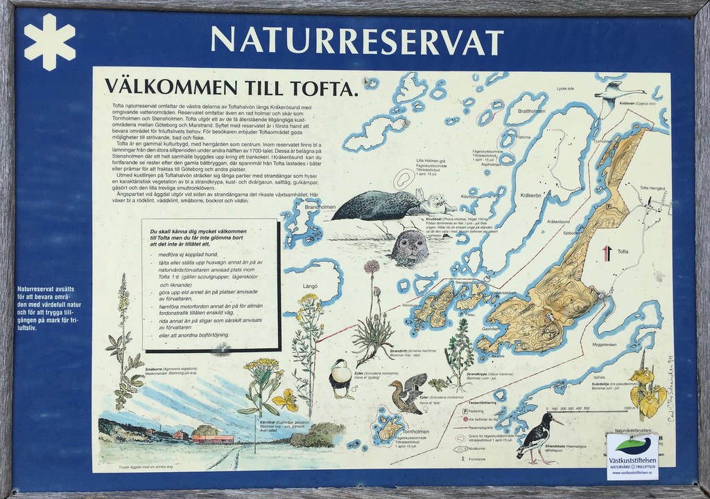 Tofta Nature Reserve VII