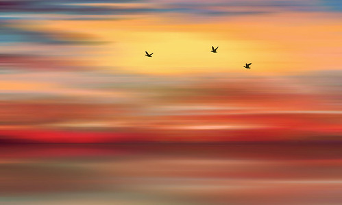 birds flight flying geese horizon sky mood color sunset sunrise seascape landscape digital painting art flowing glowing glowingandflowing flowingandglowing
