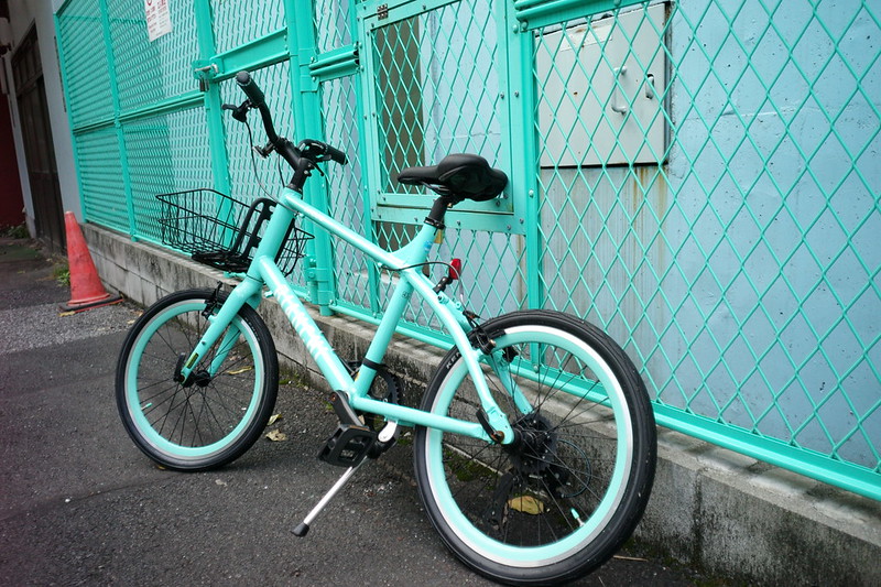 079東京暗歩水窪川 網と同じ色の自転車