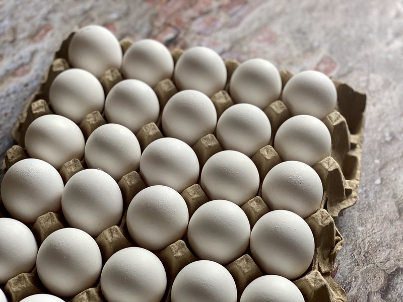 Cage-free eggs