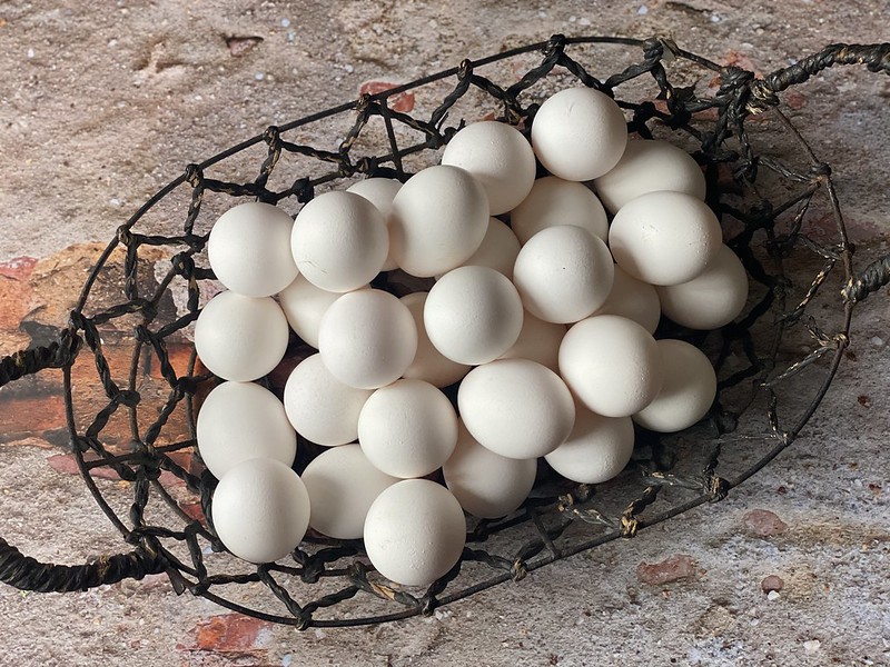 Cage-free eggs