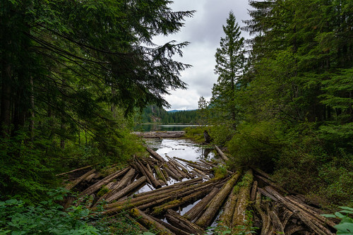 1424 1424mm1424f28 a7 a7r3 a7riii cloud clouds explore exploring forest forests fullframe hike hiking lake landscape mountain mountains nature northamerica northwest outdoor outdoors pnw pacificnorthwest plant plants reflection reflections rural sigma sigma1424f28dgdnart sigma1424mm28art sigmaart sky snohomishcounty sony sonya7r3 summer tourism travel tree trees usa unitedstates unitedstatesofamerica wa washington washingtonstate water wood woods