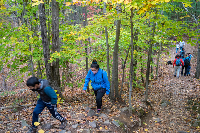 An autumn hike via the Skyline Trail to Wolcott Hill & the Great Blue Hill